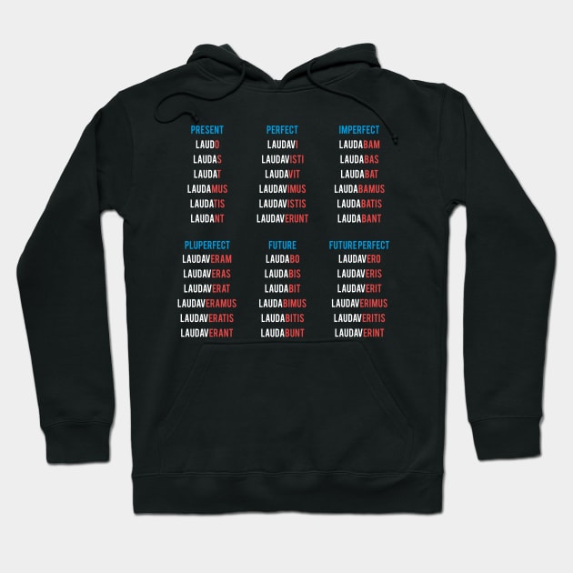 Latin Verbs Conjugation - Latin Language Hoodie by Hidden Verb